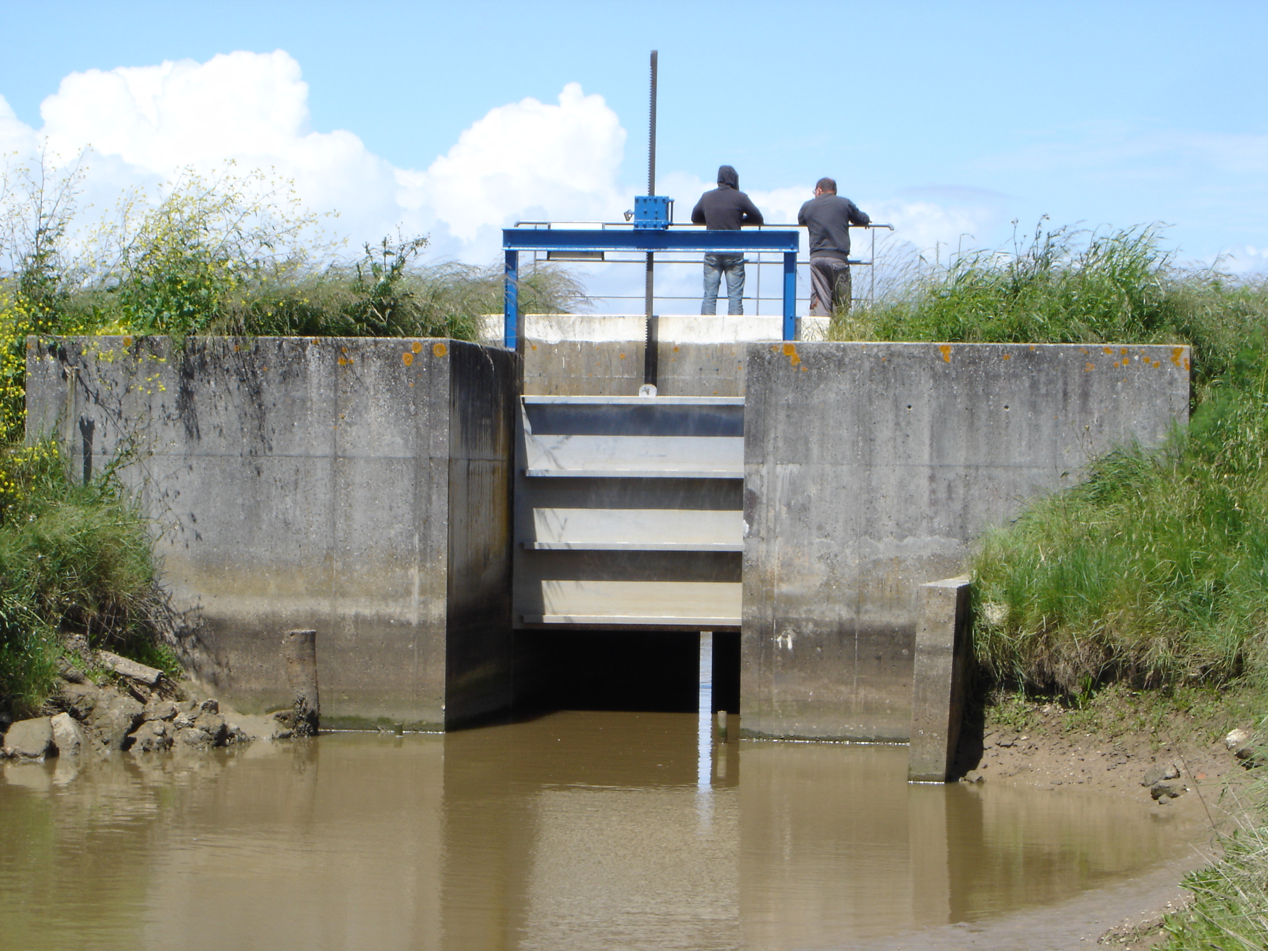 PVKamont charmail.JPG