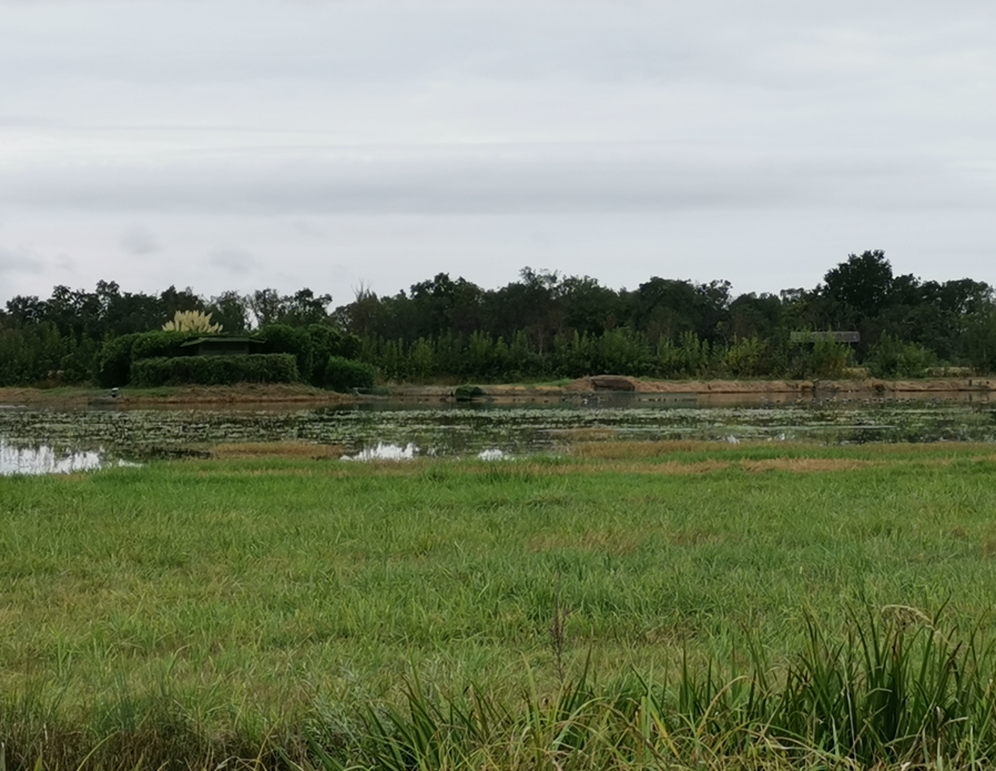 Capture d'écran 2025-03-10 105429.png