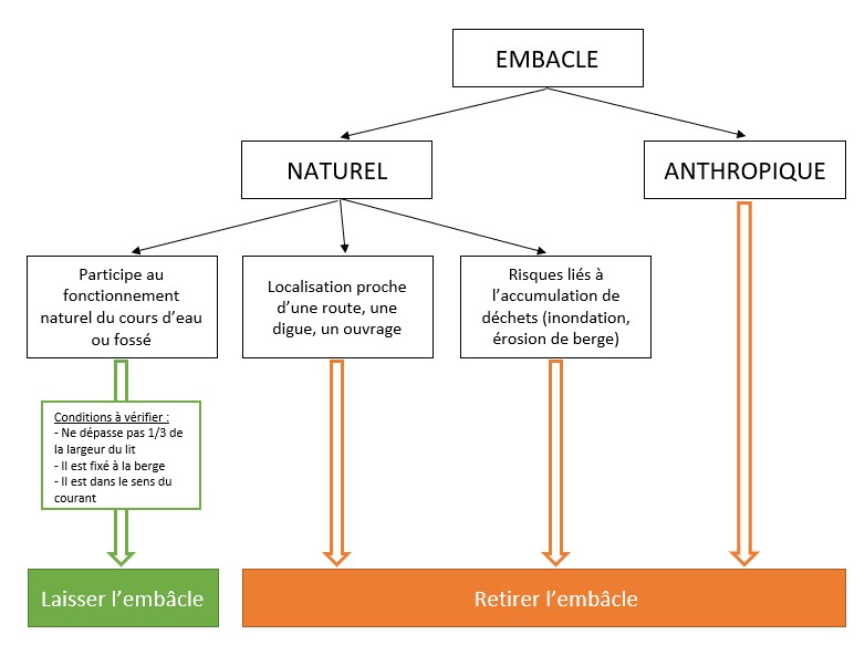 Capture d’écran 2025-07-01 143836