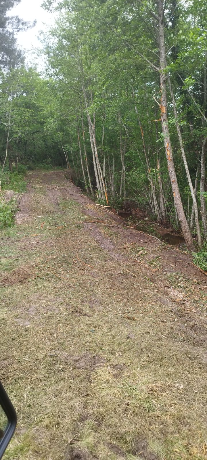 Mai_Le Zic après.jpg