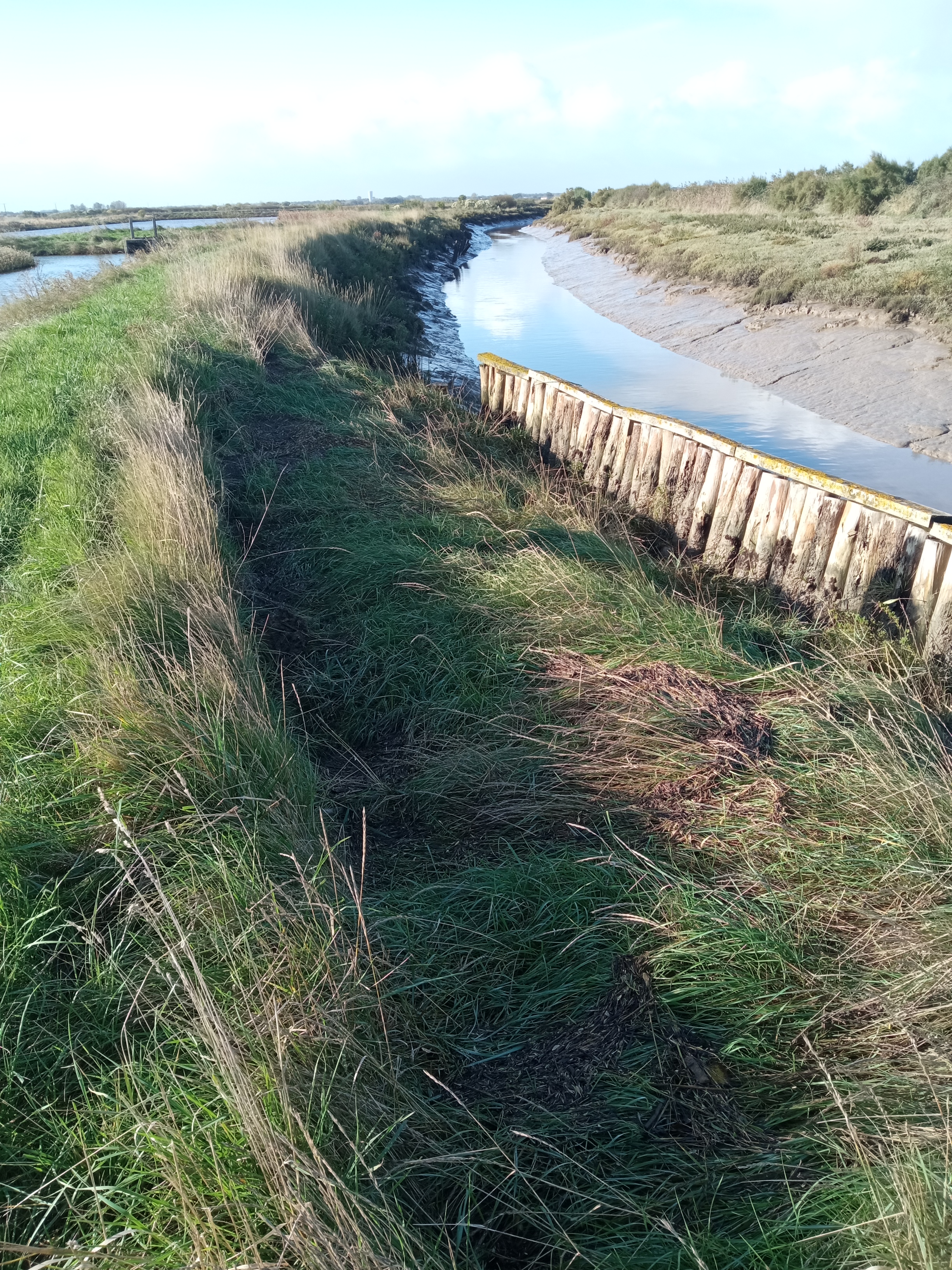 Le système d’endiguement