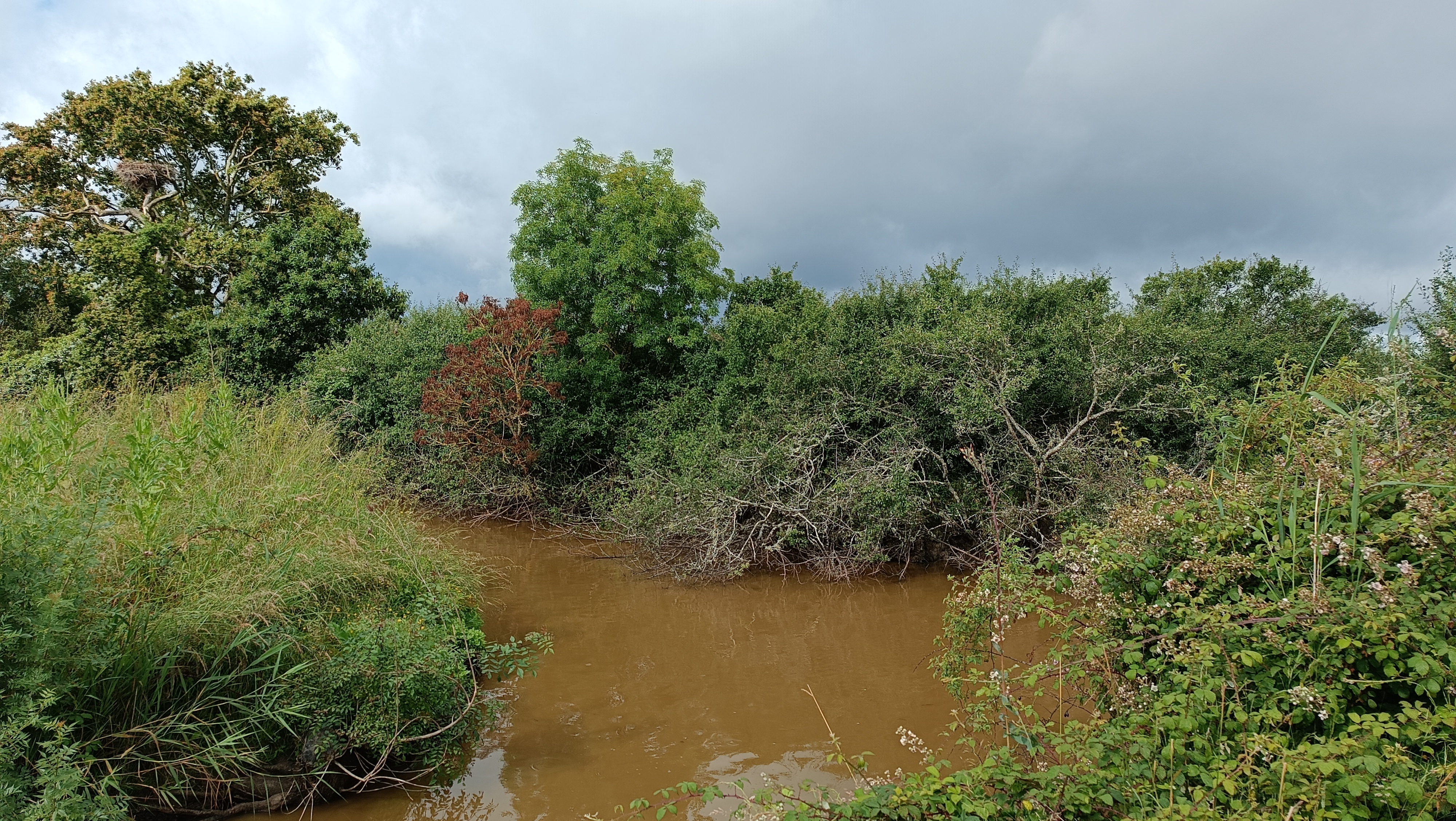 Entretien de la végétation